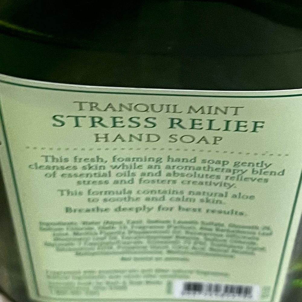 DISCONTINUED Bath & Body Works Tranquil mint hand soap and body lotion. HTF - Picture 4 of 11